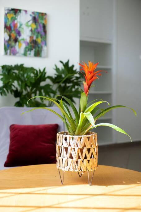 Best Spot Apartment In Athens Atenas Exterior foto
